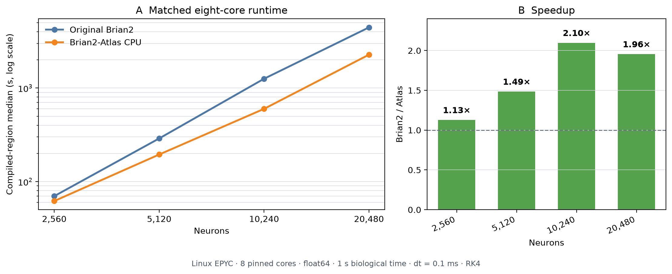Two charts showing matched eight-core CPU runtime and speedup from 2,560 to 20,480 neurons.