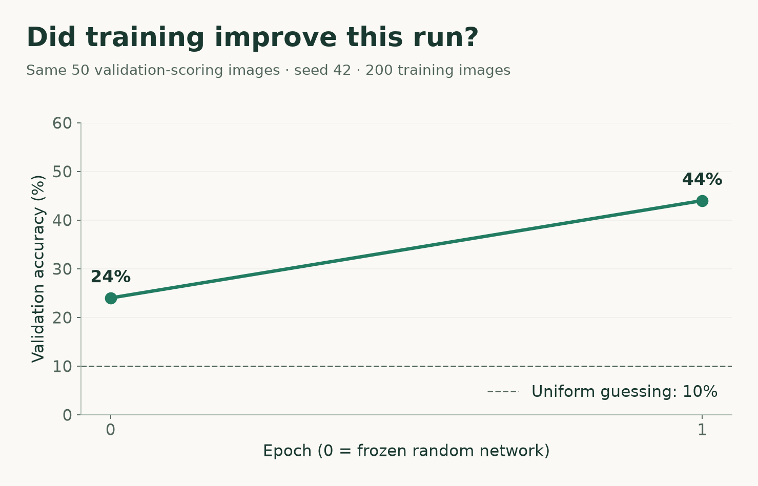 Measured validation accuracy rises from 24 percent before training to 44 percent after one epoch, with a separate 10 percent uniform-guessing reference.