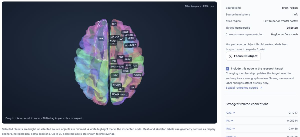 Actual Next Brain 3D research interface showing a human cortical template and a source-node inspector.
